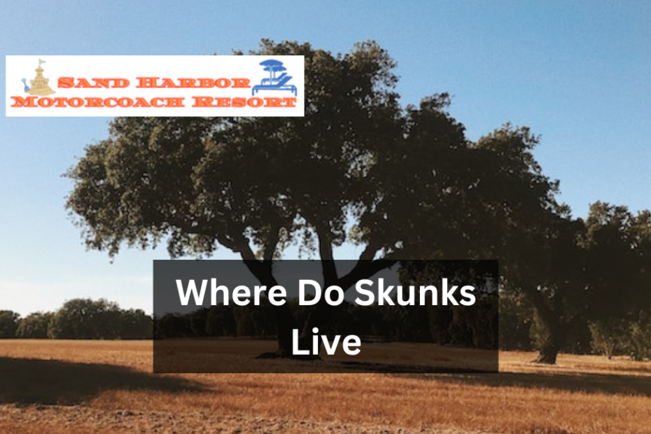 Where Do Skunks Live