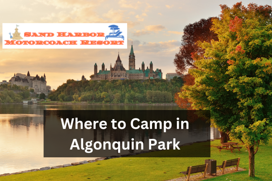 Where to Camp in Algonquin Park